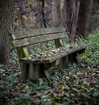 Wooden bench outdoors