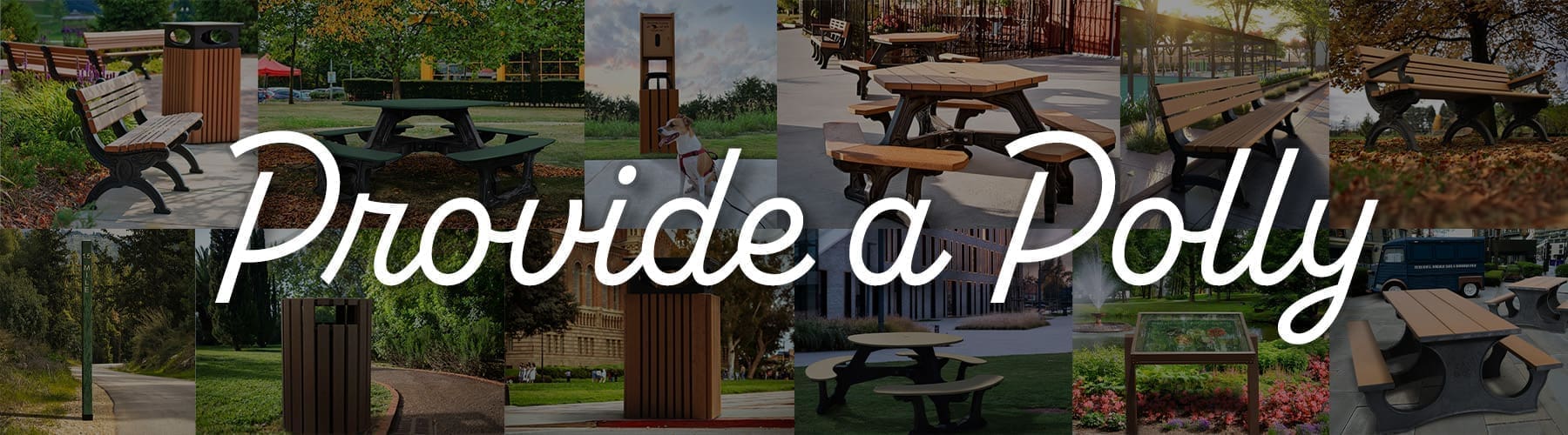 Provide A Polly Program Polly Products