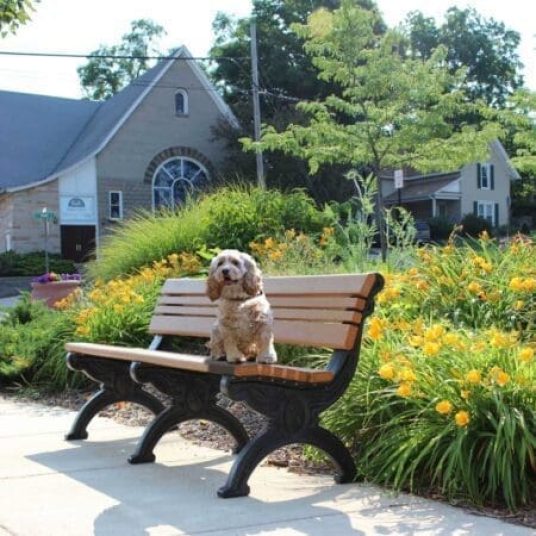 A tawny colored spaniel dog on our Cambridge 6 ft recycled plastic park bench that has stylish, ornately molded black frames that look like cast metal but are made of recycled plastic. The cedar color seat and back are made of 2"x 2" slats set between 2" x 4" bullnose edge boards. It's placed on a concrete pad in a park next to a flower bed.
