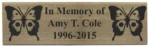 2.5" x 8" Olympian Plaques Series