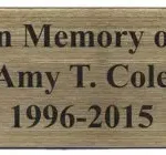 2.5" x 6" Olympian Plaque Series